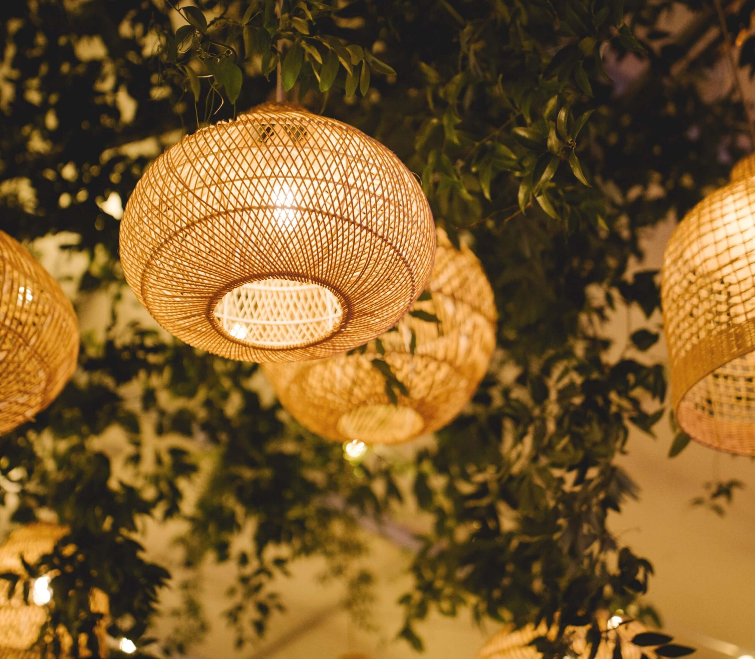 Woven rattan pendant lights hanging from a ceiling are illuminated, with leafy green foliage in the background.