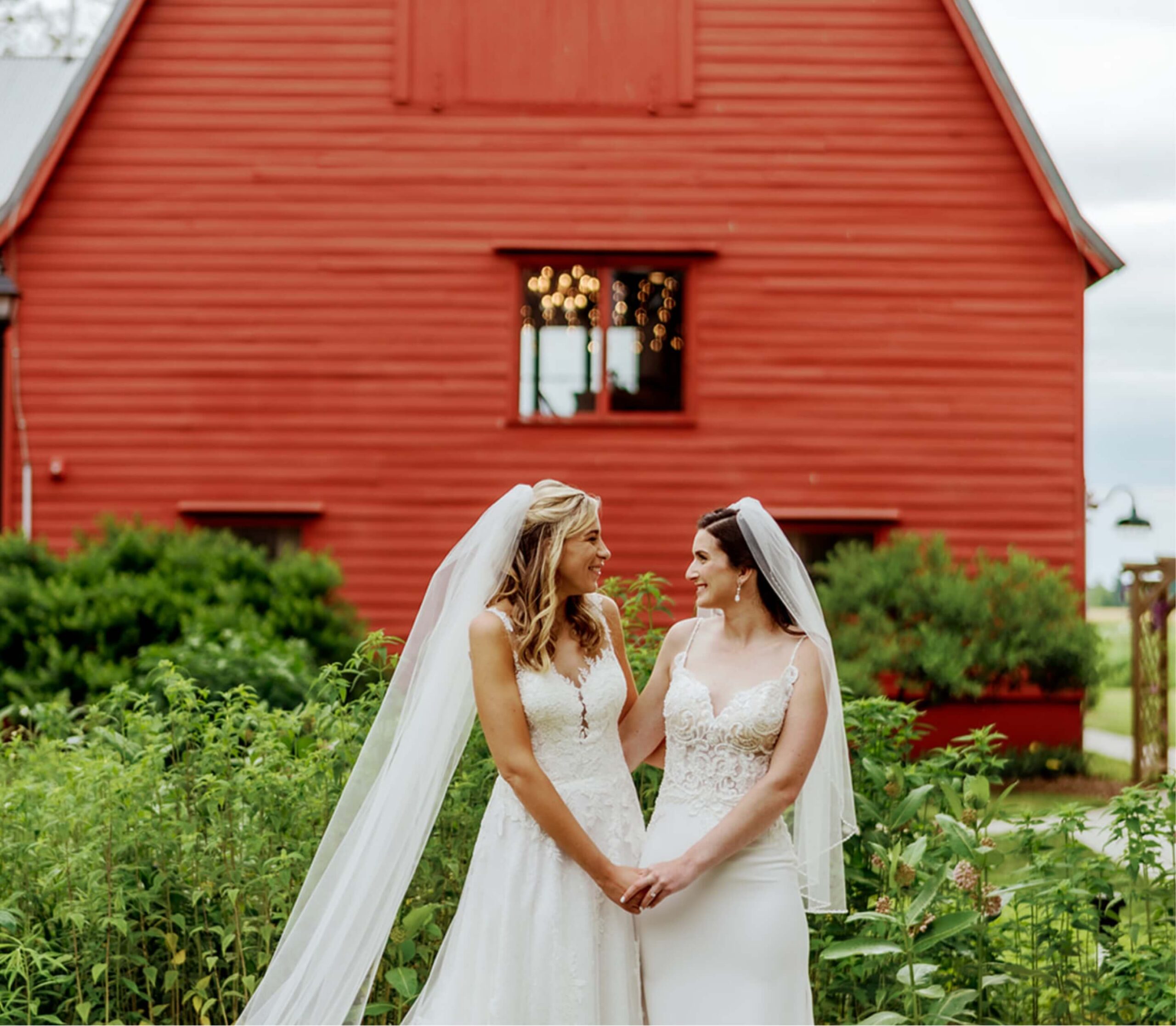 Two brides in white gowns and veils hold hands, standing in front of a red barn surrounded by greenery.