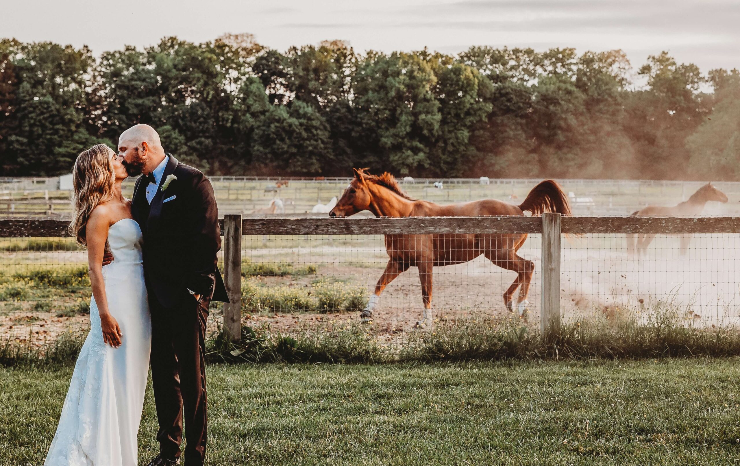 A couple in formal attire stands close, with a wooden fence and grazing horses in the background.