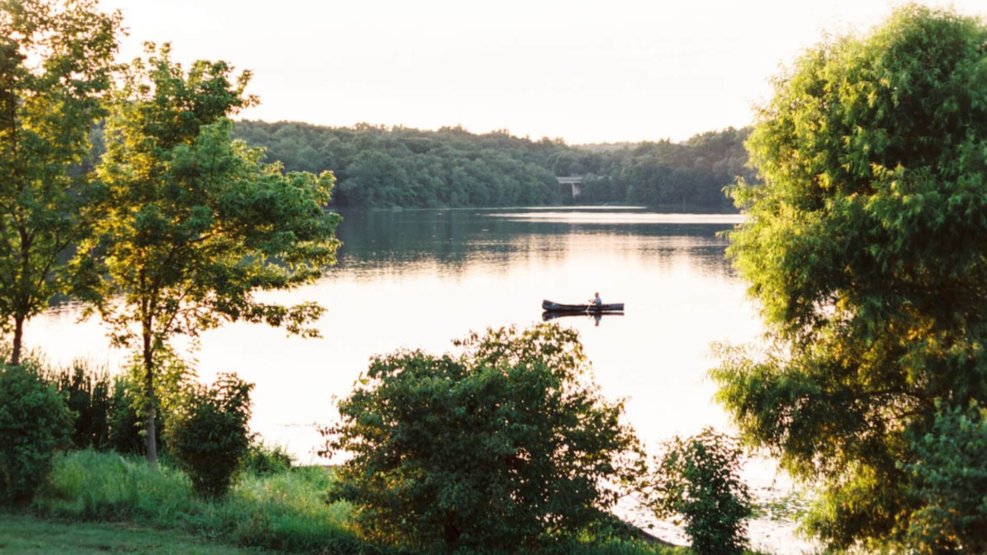A person in a small boat on a calm lake surrounded by trees and greenery under a clear sky.