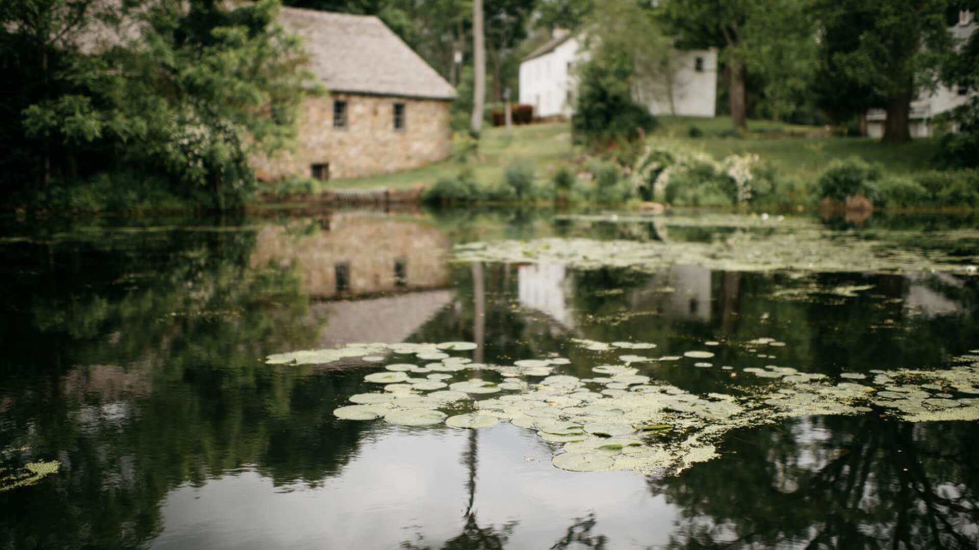 Pond with lily pads in the foreground, reflecting a stone house and a white house surrounded by trees and greenery in the background.