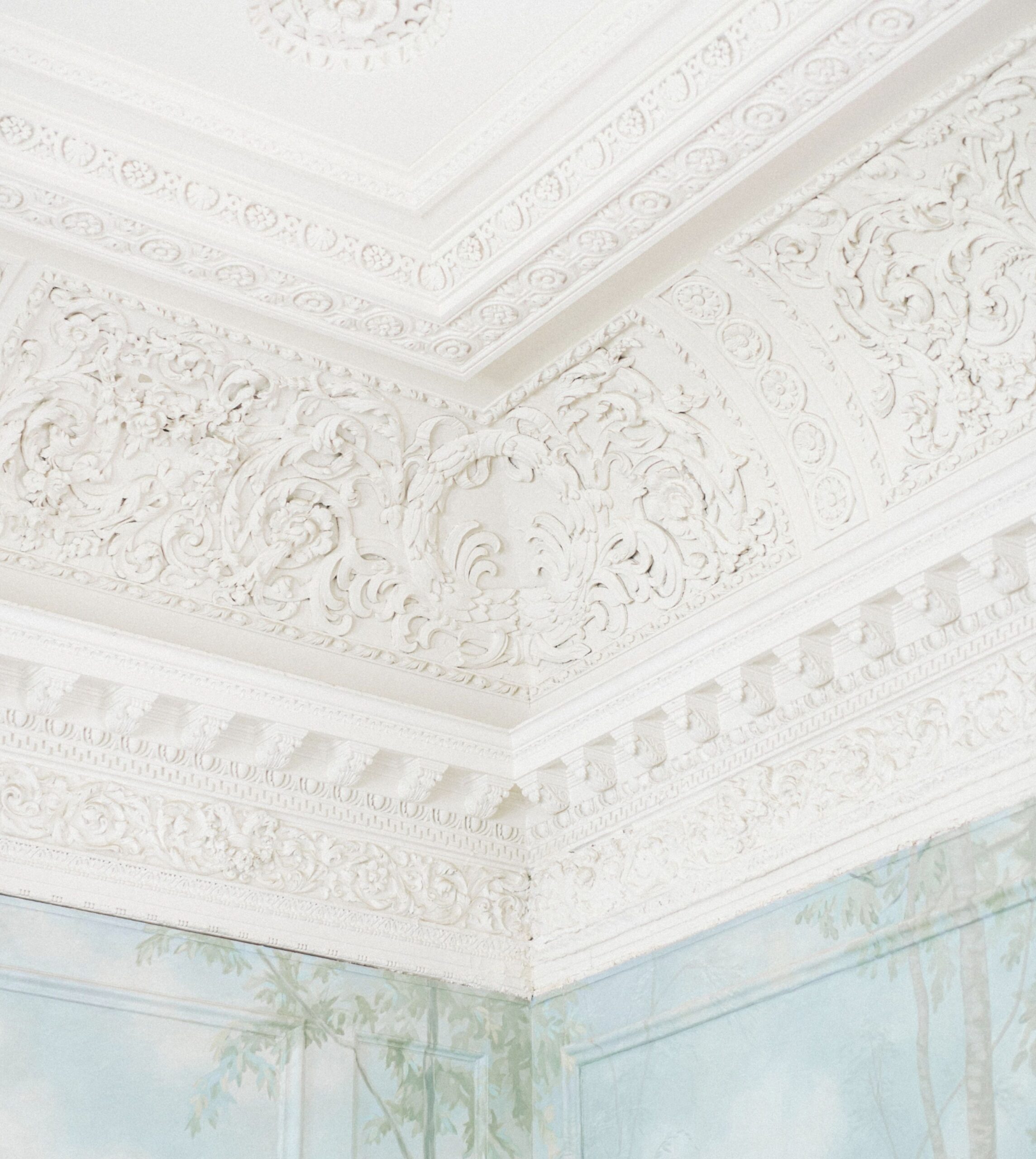 Ornately carved white plaster ceiling corner with intricate floral patterns, above wallpaper featuring delicate tree designs.