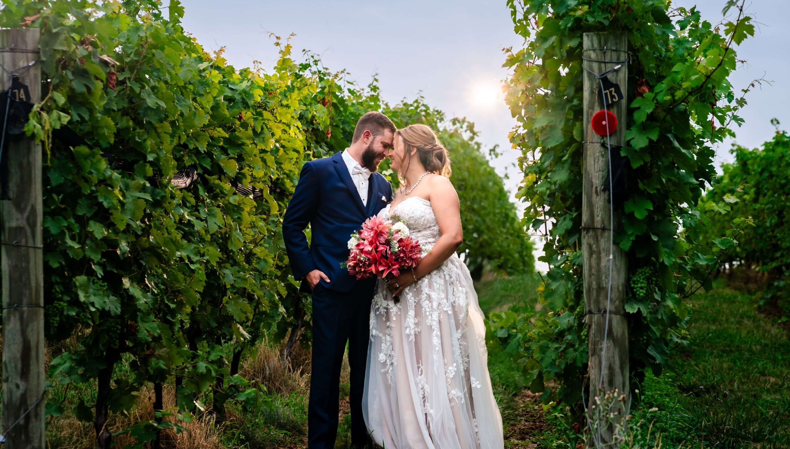 A bride and groom stand close together in a vineyard at sunset, with the bride holding a large bouquet of pink flowers.