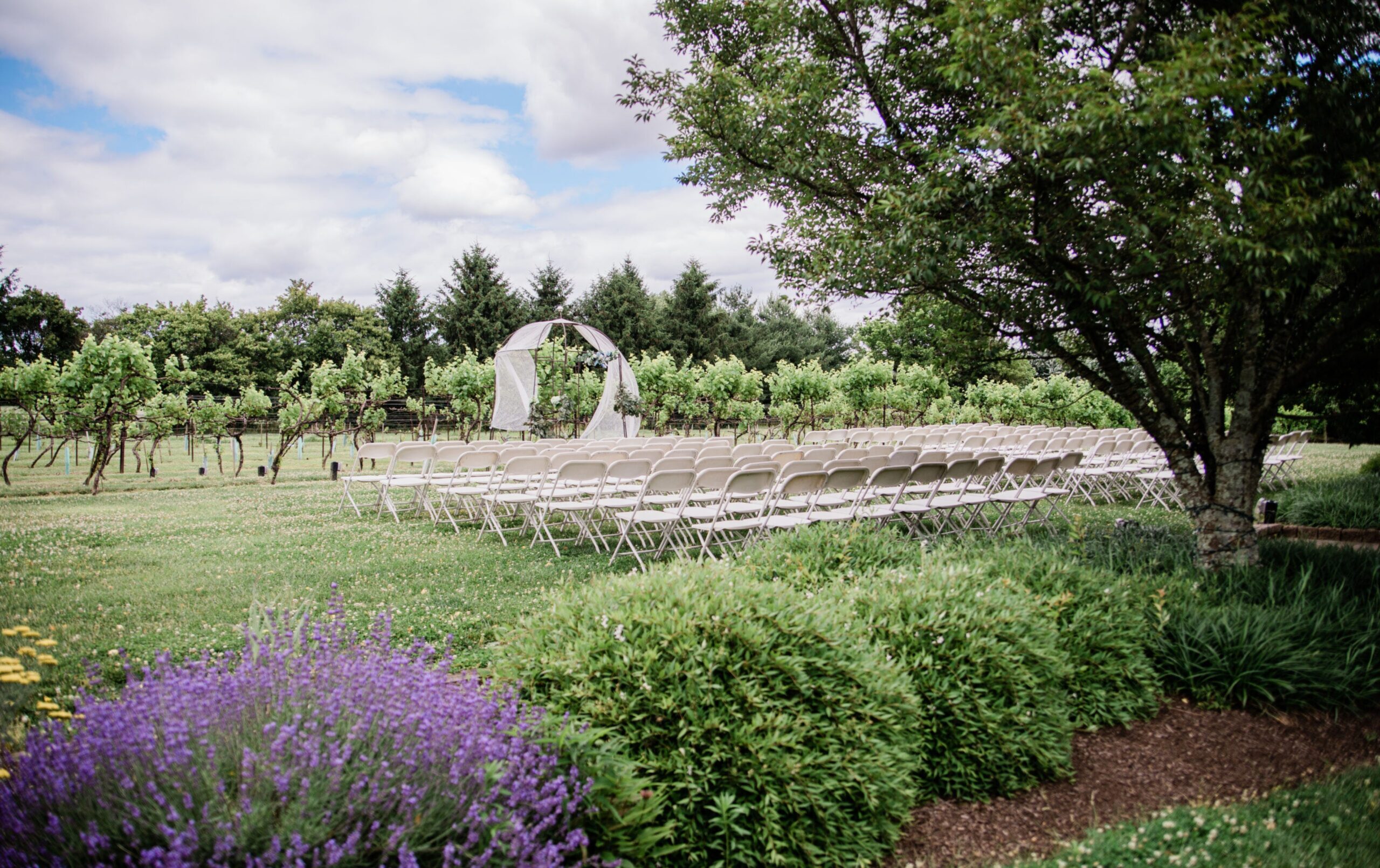 Rows of white folding chairs are arranged outdoors on a lawn facing a simple wedding arch, surrounded by green trees and plants on a partly cloudy day.