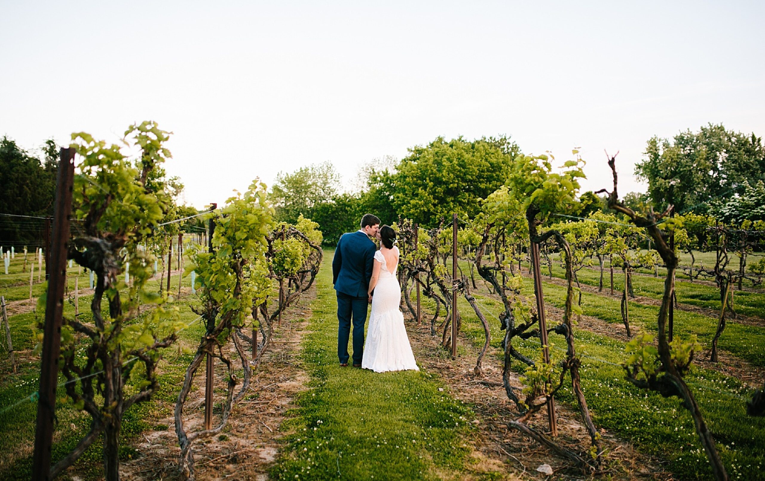 A bride and groom walk together down a grassy path between rows of grapevines in a vineyard, facing away from the camera.